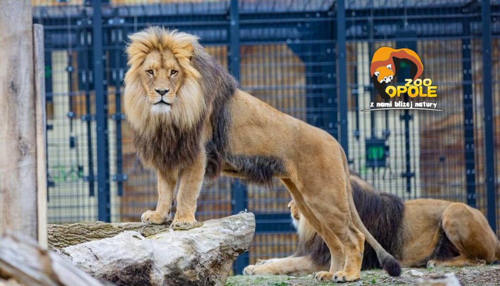 ZOO Opole wycieczka szkolna