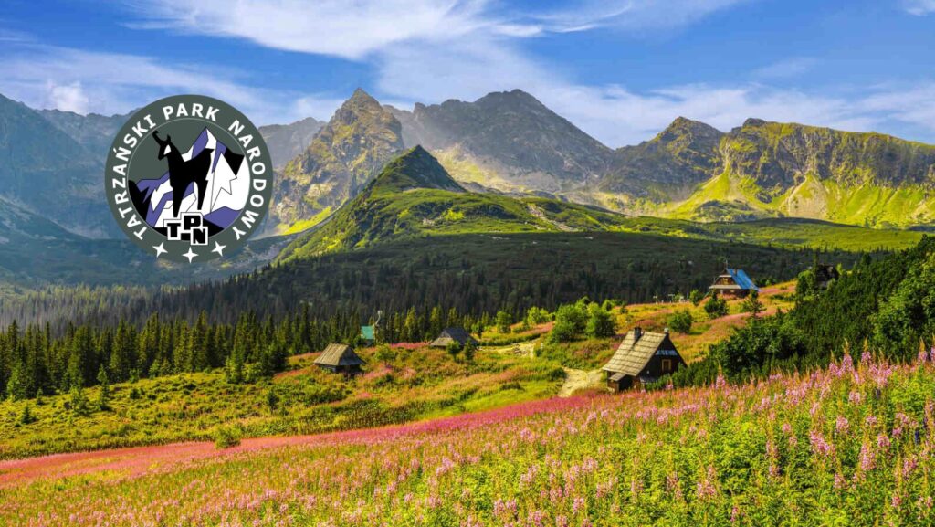 Tatry wycieczka szkolna