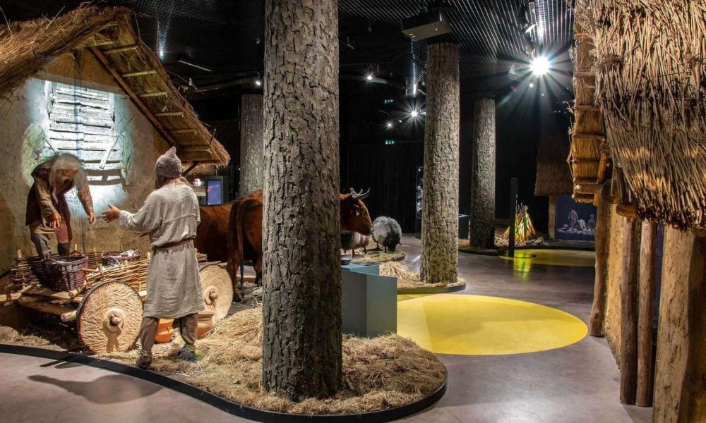 Rezerwat Krzemionki wycieczka szkolna