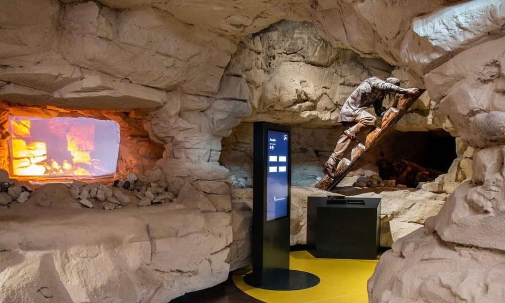 Rezerwat Krzemionki wycieczka szkolna