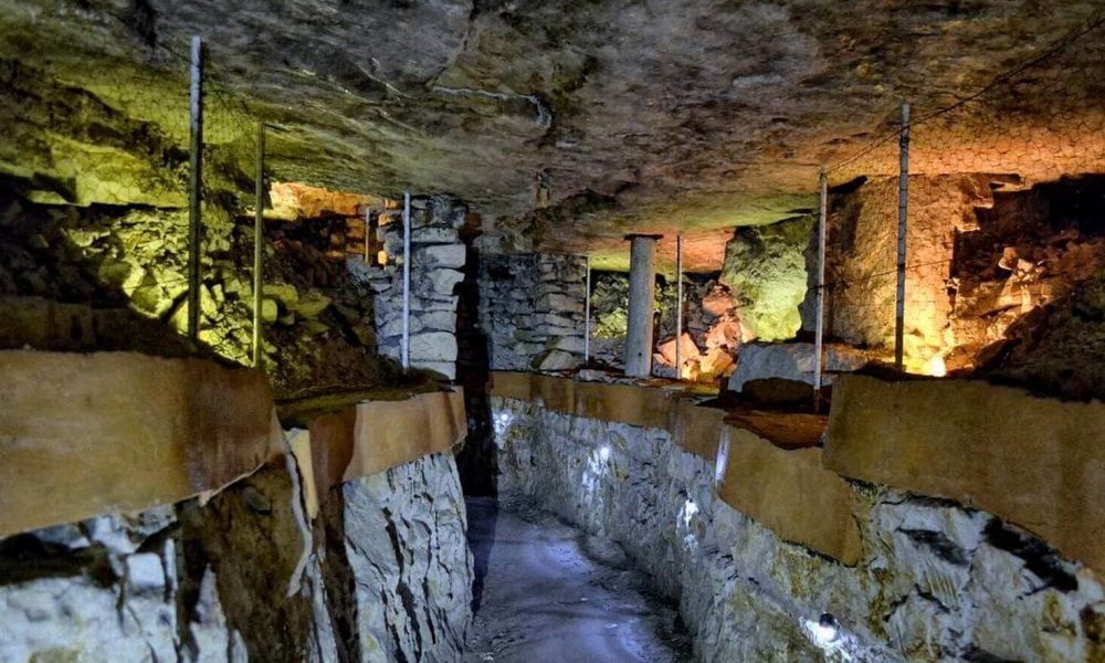 Rezerwat Krzemionki wycieczka szkolna