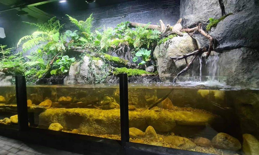 podwodny świat Zakopane wycieczka szkolna