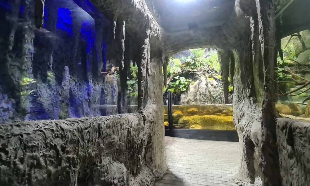 podwodny świat Zakopane wycieczka szkolna