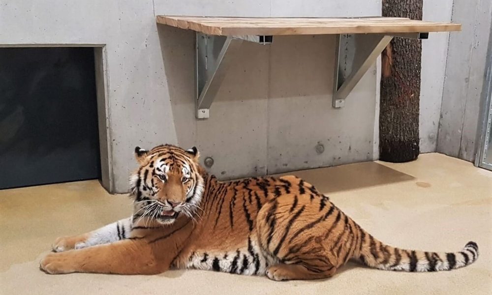 ZOO Opole wycieczka szkolna