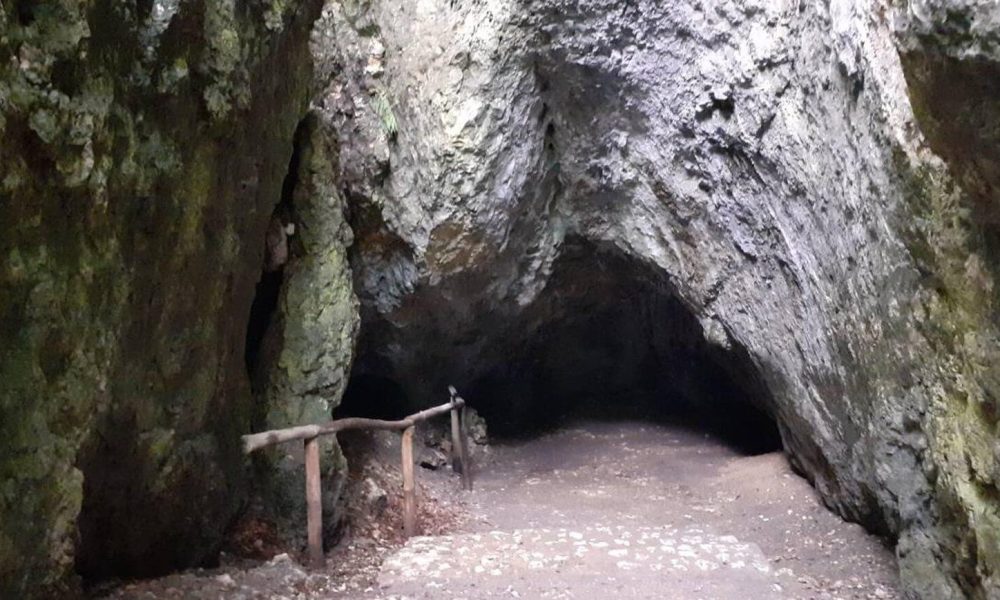 Grota Łokietka wycieczka szkolna