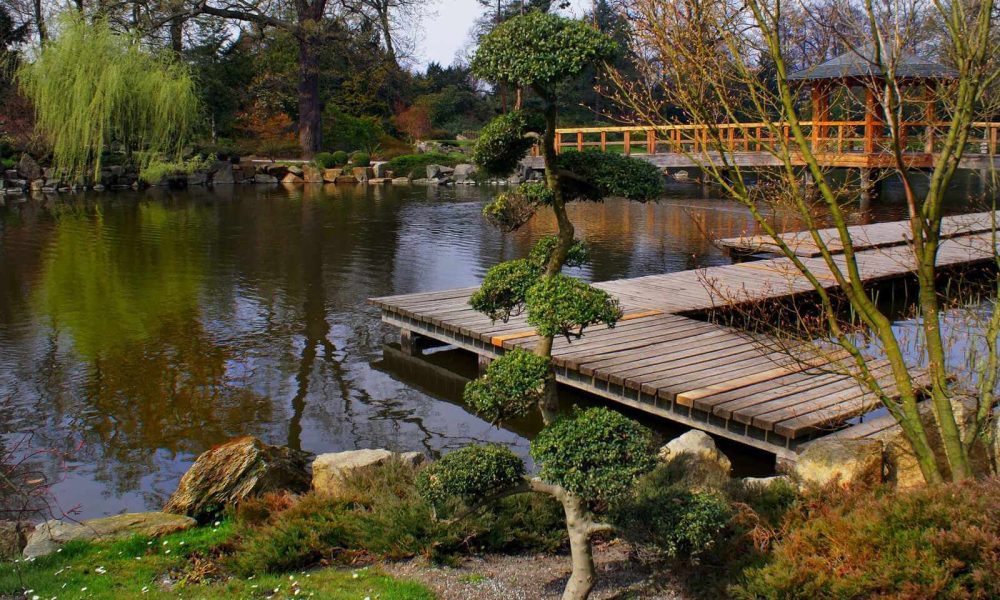 Wrocław park wycieczka szkolna
