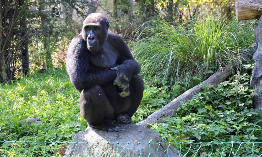 ZOO Opole wycieczka szkolna