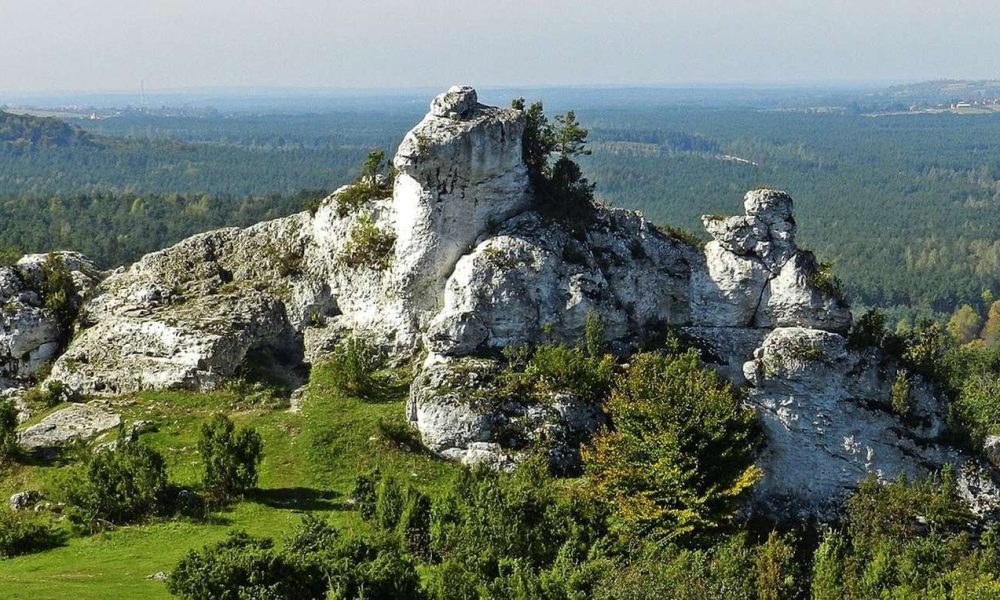 Góra Zborów SOG wycieczka szkolna