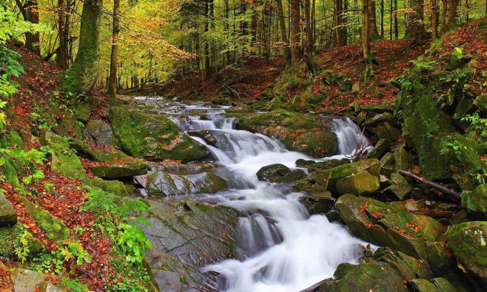 Bieszczady połonina wycieczka szkolna