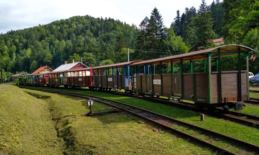 Bieszczadzka Kolejka Leśna wycieczka szkolna
