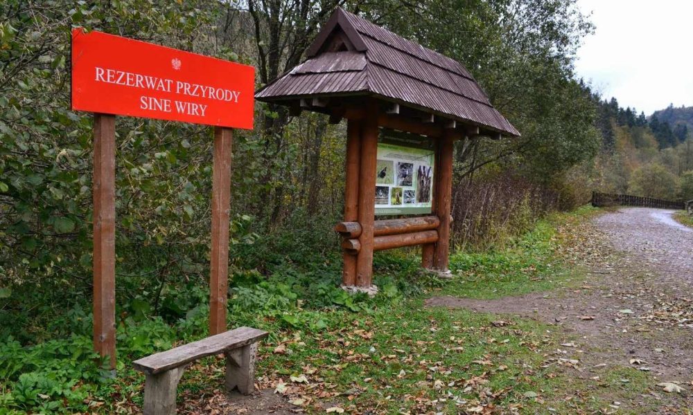 Rezerwat Sine Wiry Bieszczady wycieczka szkolna