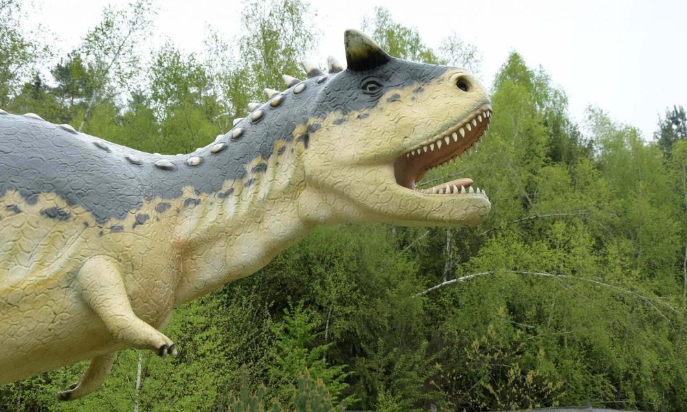 Jurapark Krasnobród wycieczka szkolna