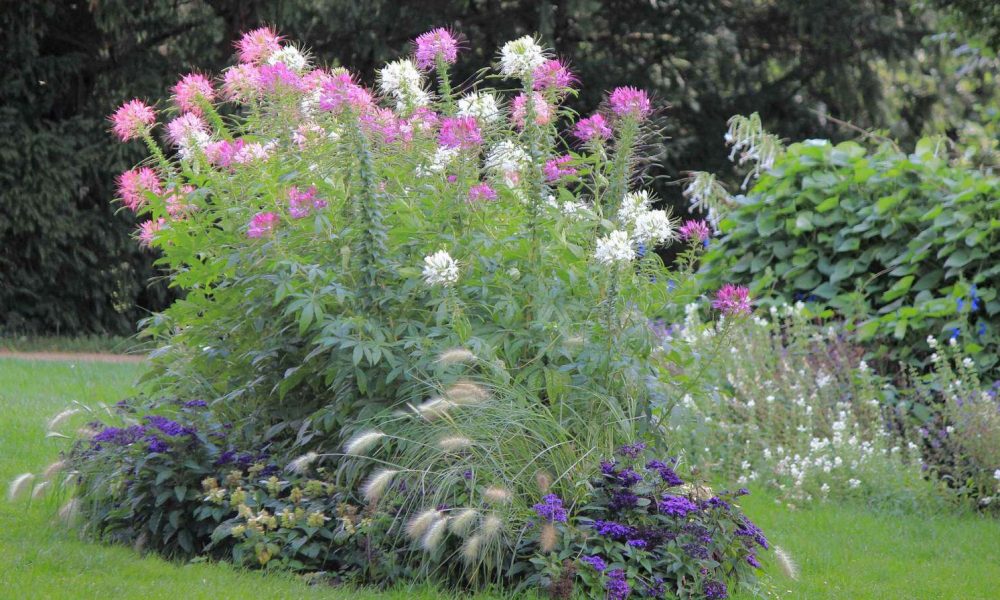 Park Mużakowski Geopark wycieczka szkolna