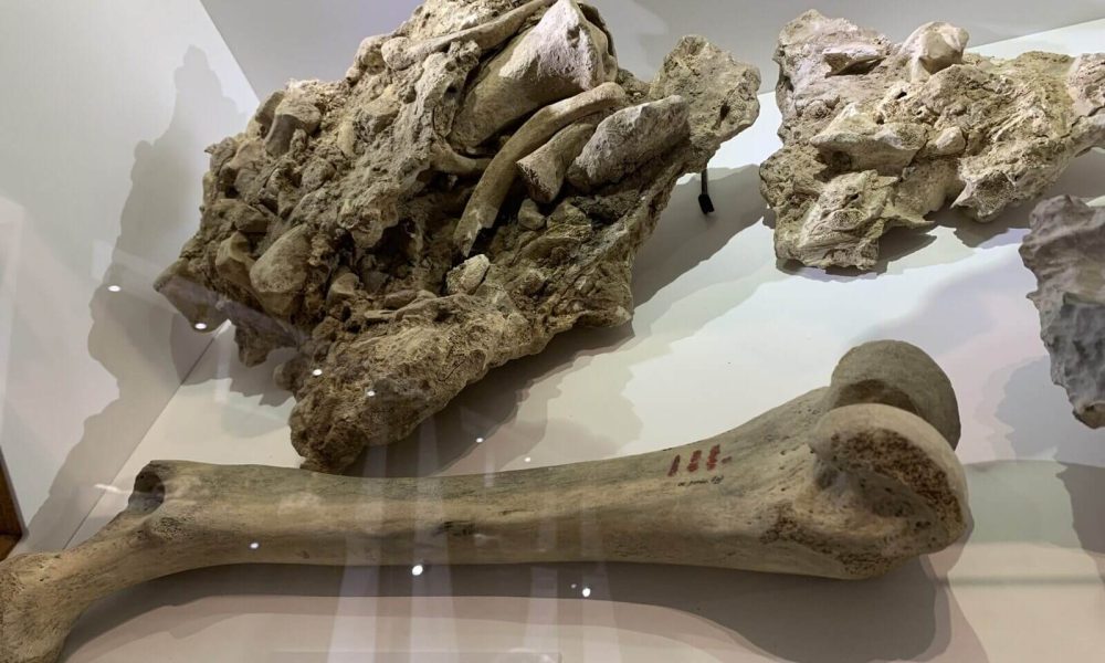 Muzeum Tatrzańskie Zakopane wycieczka szkolna