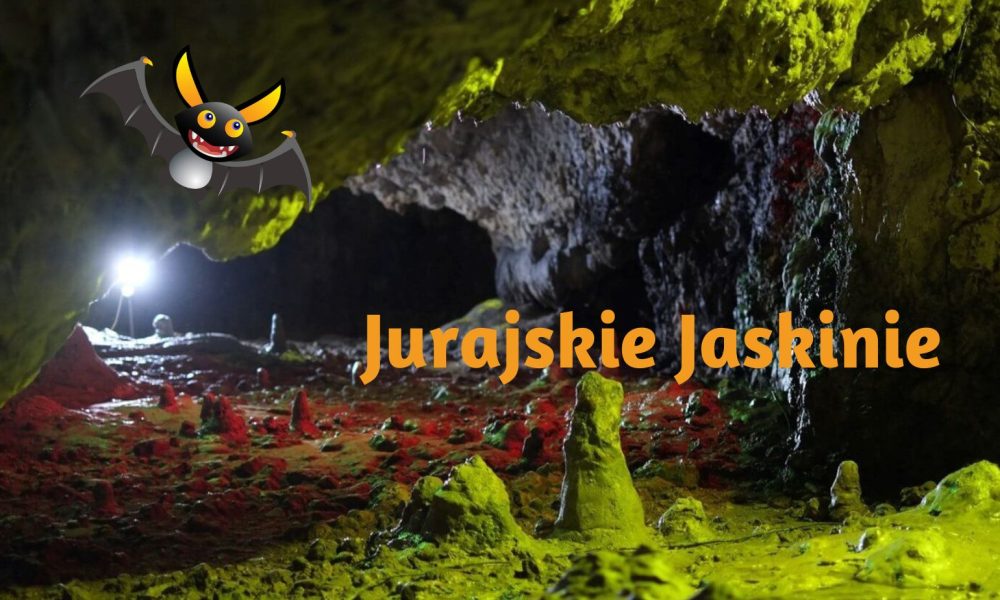 Jurajskie Jaskinie wycieczka szkolna