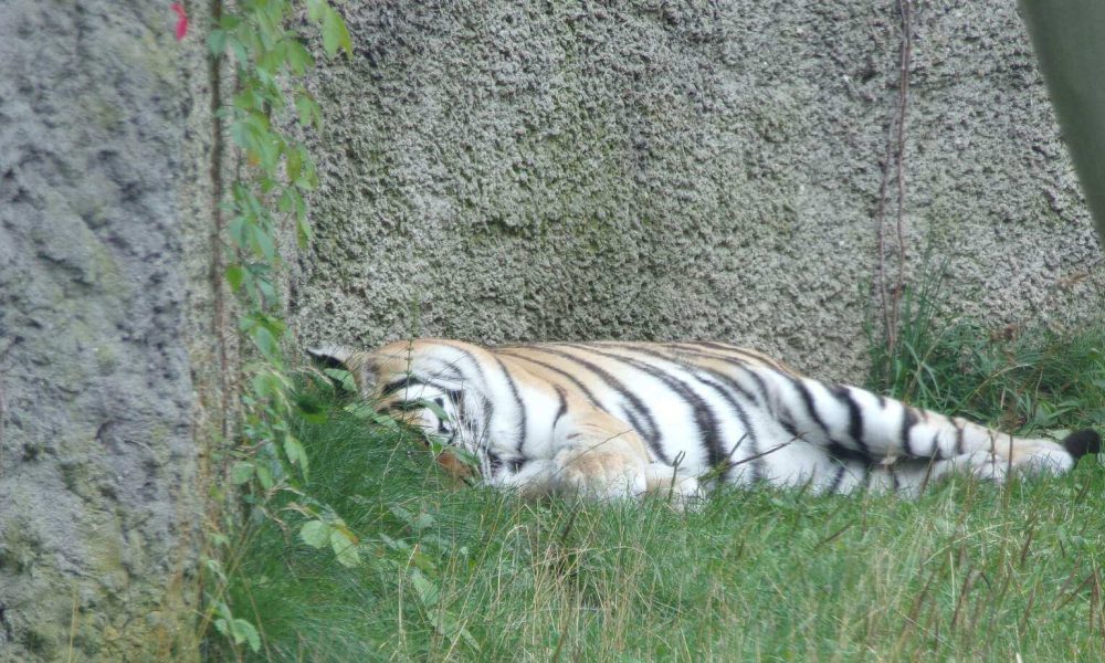ZOO Łódź wycieczka szkolna