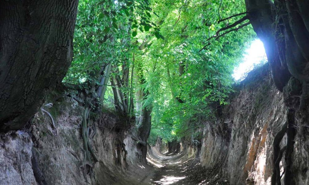 Kraina Lessowych Wąwozów wycieczka szkolna