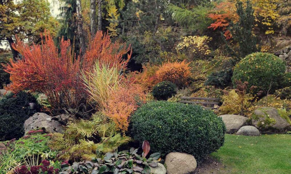 Ogród na Rozstajach wycieczka szkolna