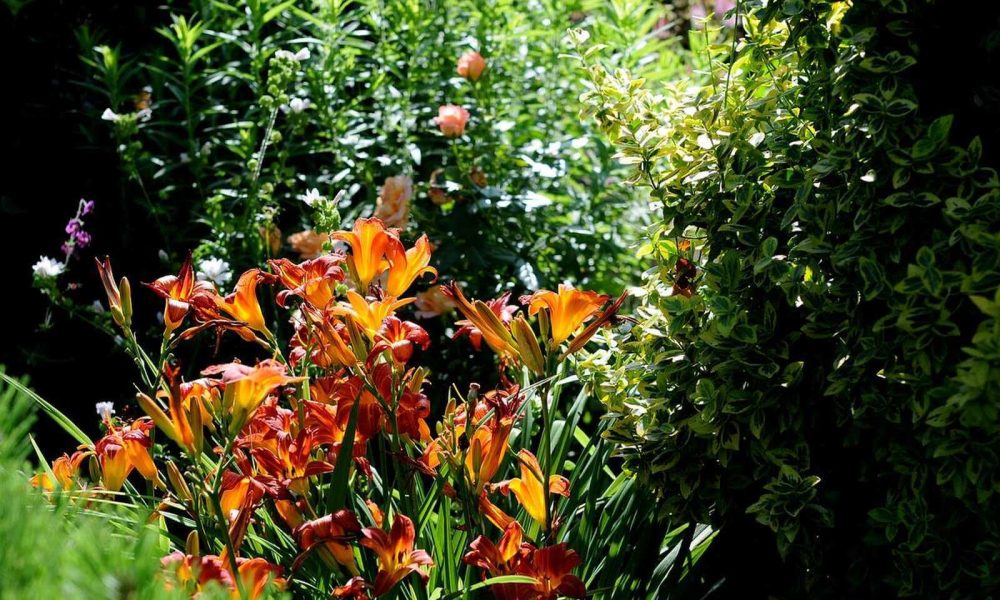 Ogród na Rozstajach wycieczka szkolna