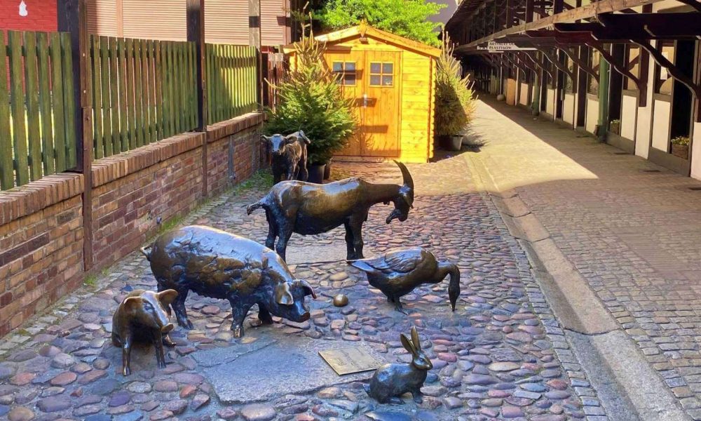 Wrocław wycieczka szkolna