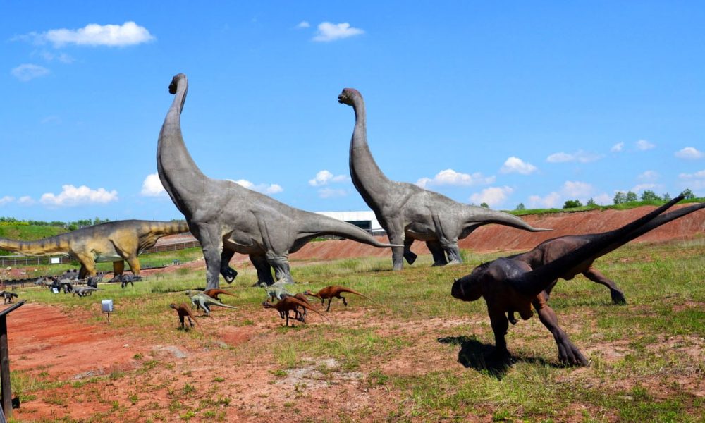 Jurapark Krasnobród wycieczka szkolna