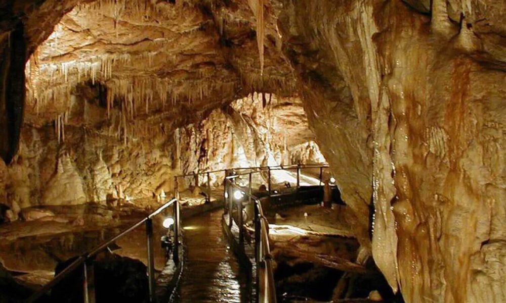 Jaskinia Niedźwiedzia wycieczka szkolna