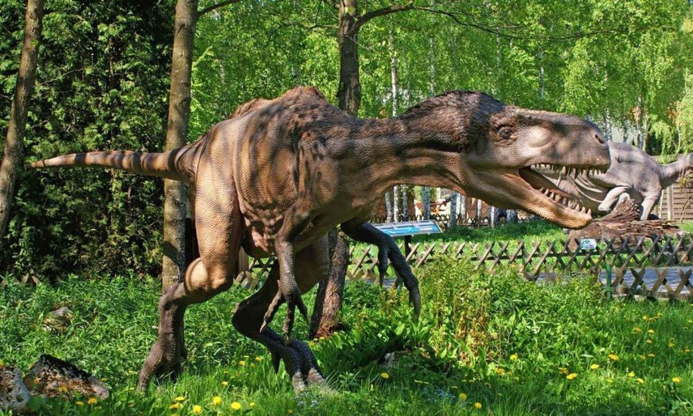 Jurapark Bałtów wycieczka szkolna