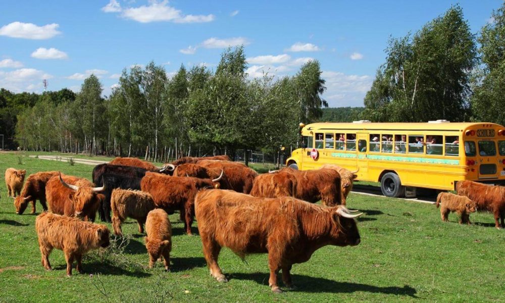 Jurapark Bałtów wycieczka szkolna