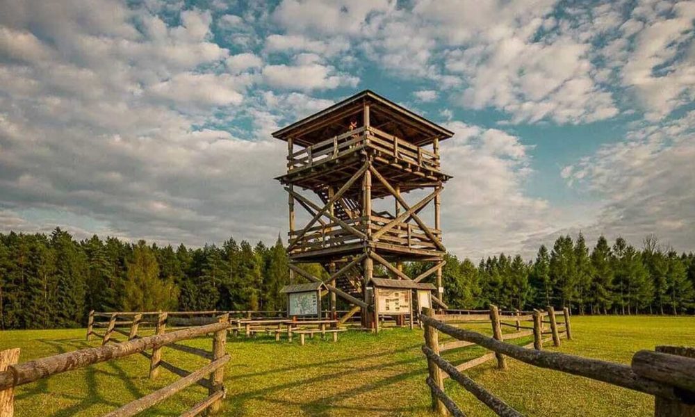 Roztoczański Park Narodowy wycieczka szkolna