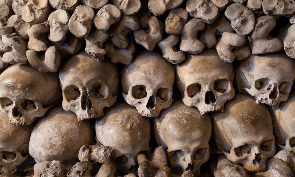 Kaplica czaszek Kudowa Zdrój wycieczka szkolna