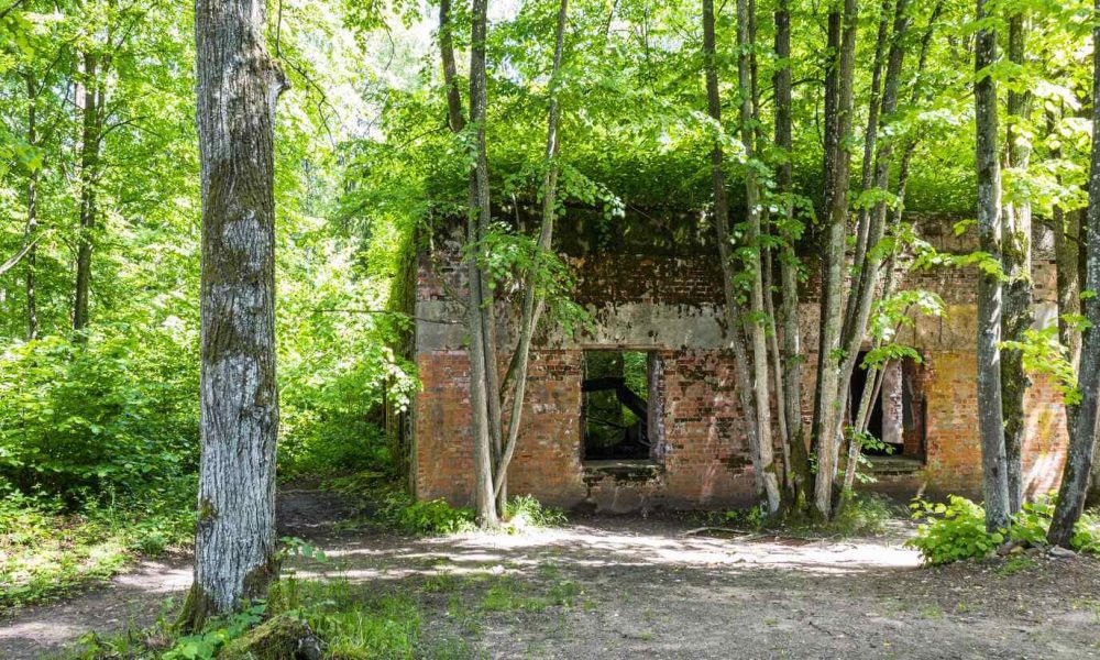 Wilczy Szaniec Gierłoż wycieczka szkolna