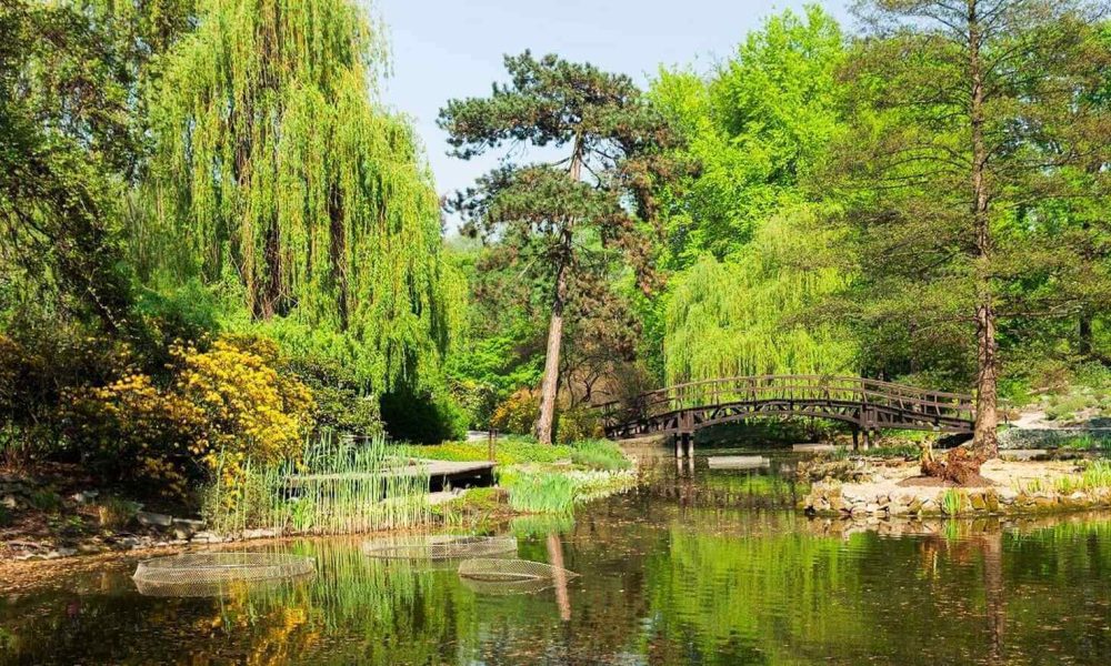 Wrocław park wycieczka szkolna