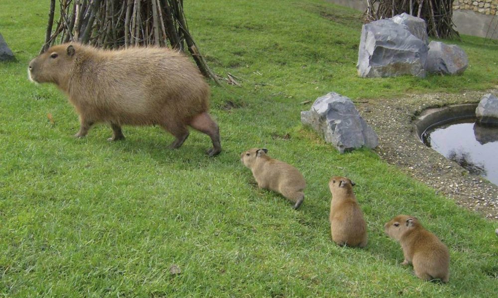 ZOO Opole wycieczka szkolna
