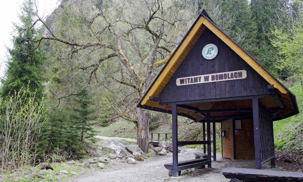 wąwóz Homole wycieczka szkolna