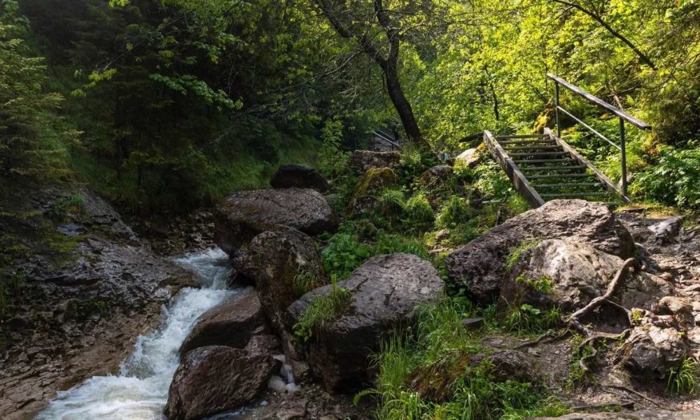 wąwóz Homole wycieczka szkolna