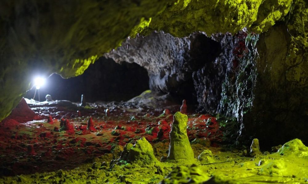 Jaskinia Nietoperzowa Jura wycieczka szkolna