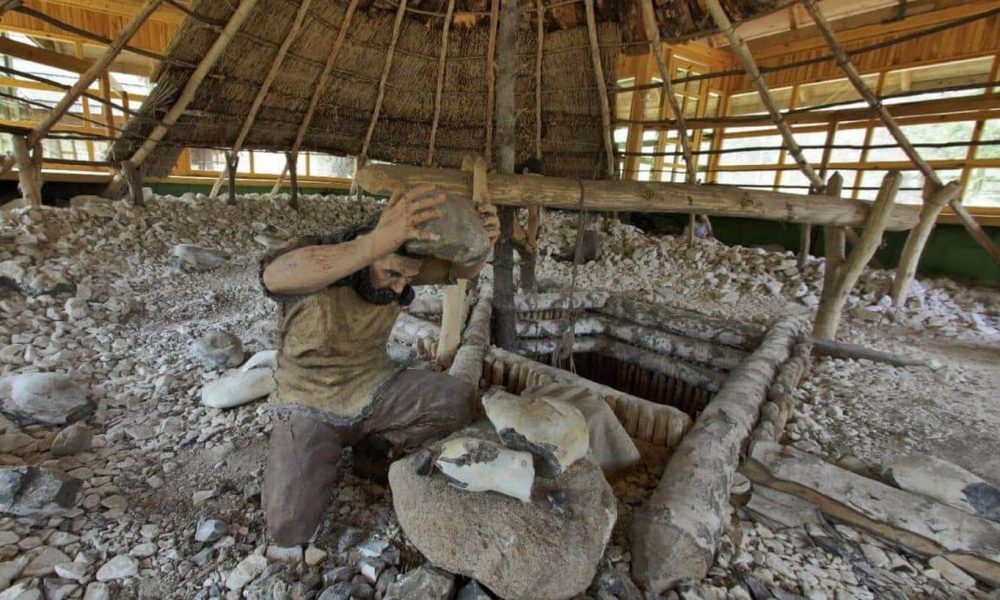 Rezerwat Krzemionki wycieczka szkolna