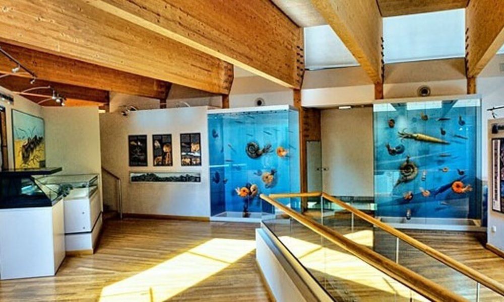 Centrum Nauki Leonardo Chęciny wycieczka szkolna