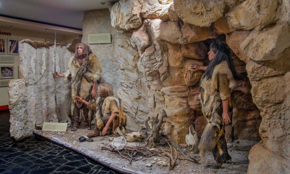 Jaskinia Raj Chęciny wycieczka szkolna