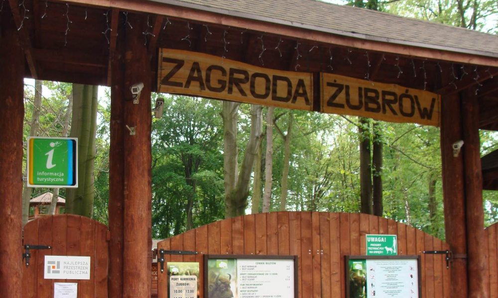 Zagroda Żubrów Pszczyna wycieczka szkolna