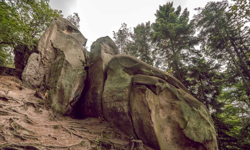 Rezerwat Prządki wycieczka szkolna