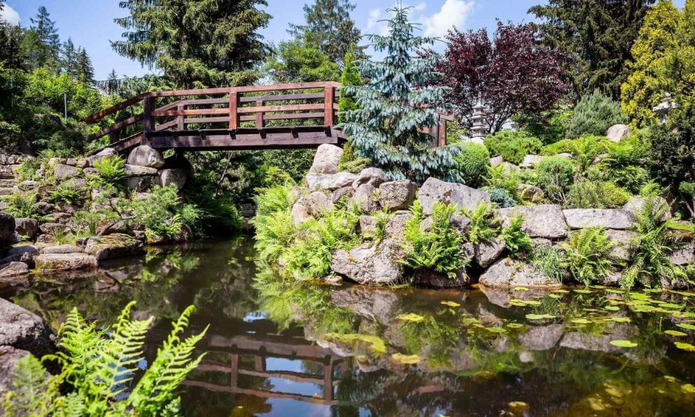 Ogród Japoński Siruvia wycieczka szkolna