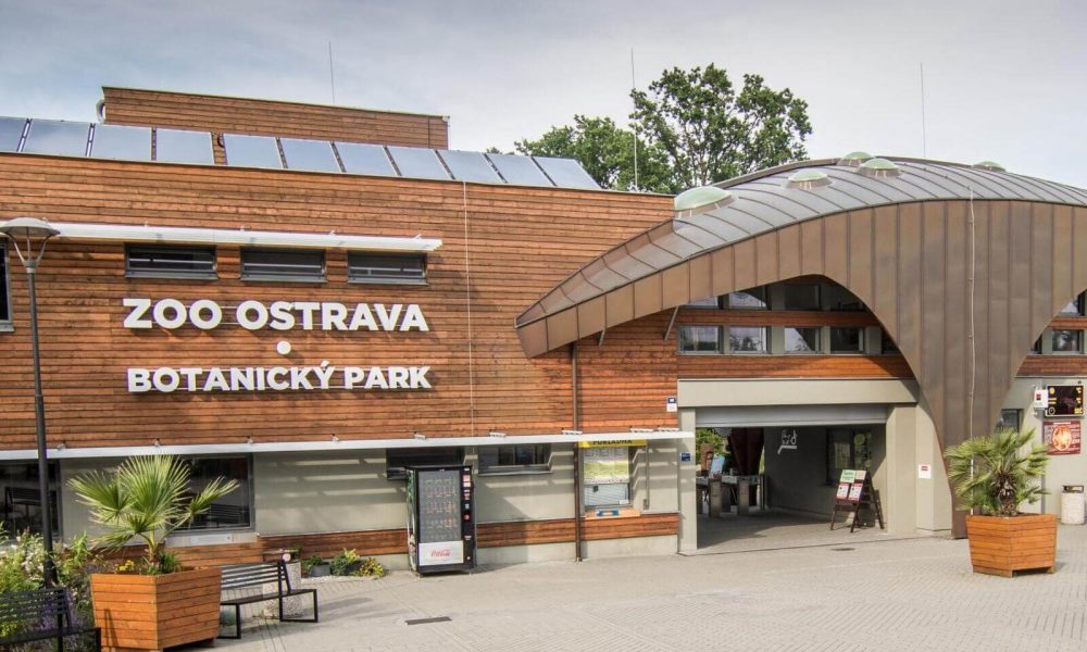 Ostrawa ZOO Czechy wycieczka szkolna