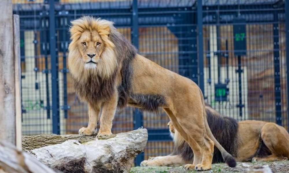 ZOO Opole wycieczka szkolna