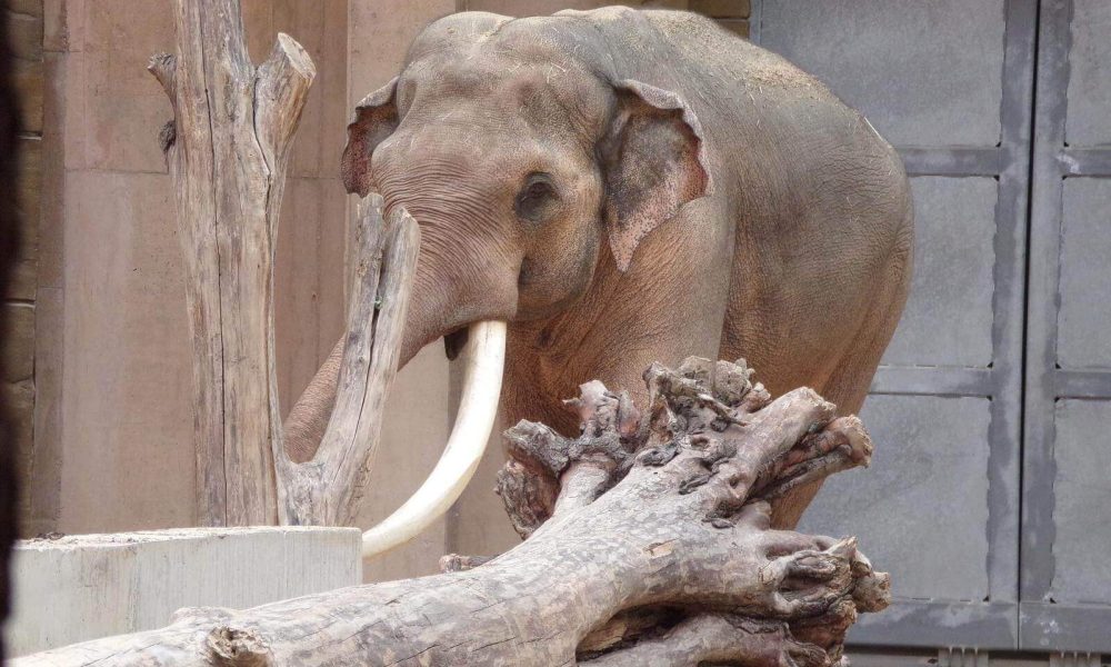 ZOO Łódź wycieczka szkolna