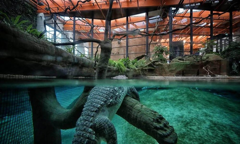 Wrocław ZOO wycieczka szkolna