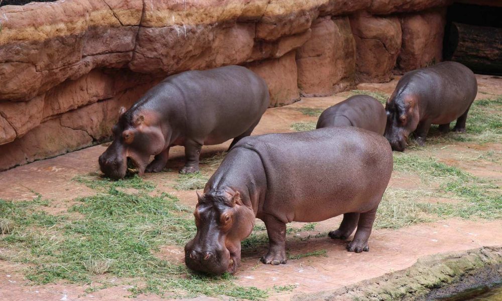 Wrocław ZOO wycieczka szkolna