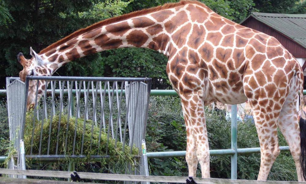 ZOO Łódź wycieczka szkolna