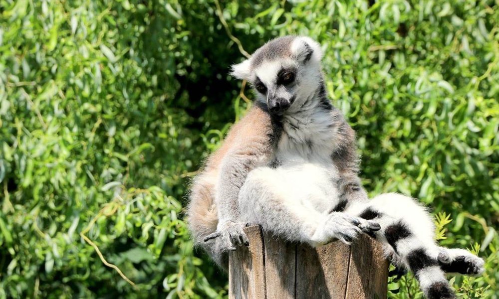 ZOO Opole wycieczka szkolna